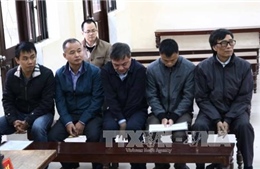  Hoãn phiên tòa xét xử vụ án Nguyễn Việt Hoàng và đồng phạm
